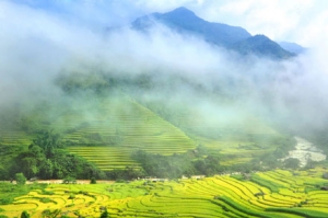 Watching immense rice terraced fields and exploring unique customs in Cat Cat village of Sapa town