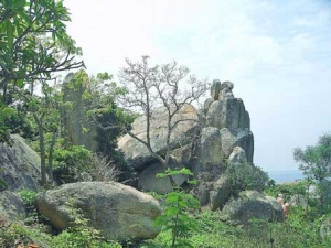 Mysterious Co Thach Temple