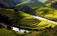 Immense terraced rice fields in Mu Cang Chai