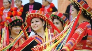 CCV to introduce Viet Nam’s cultural heritage and tourism in France