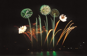 Da Nang International Fireworks Competition to be held annually