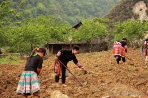 The neglected beauty of H&#039;mong mountain villages