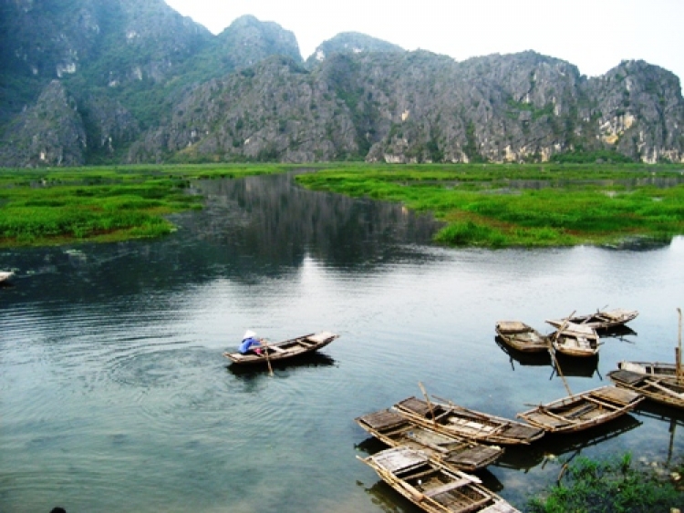 Come back Tam Coc on harvesting time