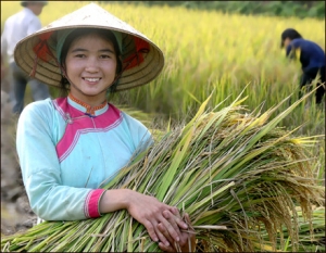 The Giay ethnic group - The traditional cultural beauty  