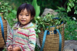 Minority people in Sapa in the eyes of young tourists