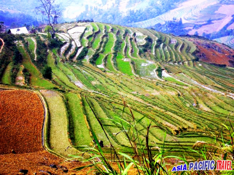 Lao Cai enhances agricultural product quality for tourists