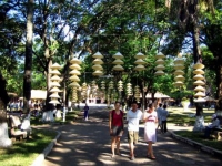 Distinctive Culture of Hue revealed in Phu Cam Conical Hat Village