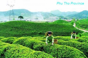 PHU THO PROVINCE