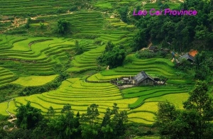 LAO CAI PROVINCE