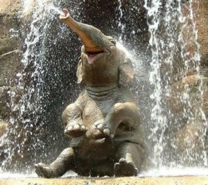 Elephant Waterfall- A Rare Landscape Waiting for Natural Lovers&#039; Discovery