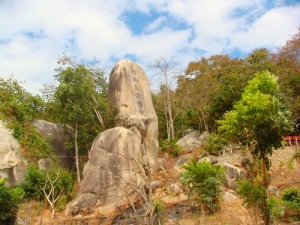 Funny trip to Monkey pagoda, Vung Tau