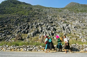 Vietnam’s first geological park, Dong Van Stone Plateau