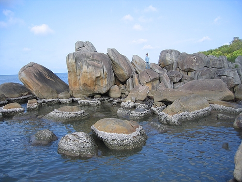 A natural rock-garden among the immense sea