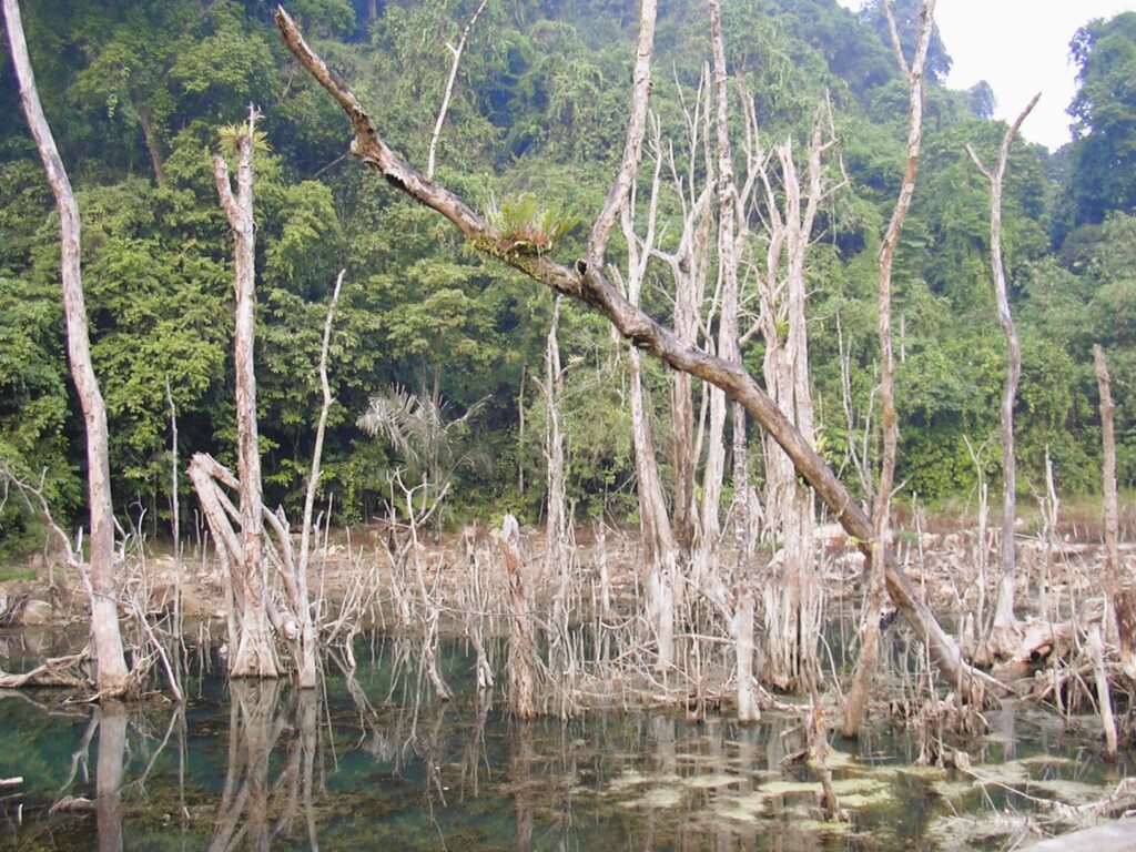 Cuc Phuong National Park