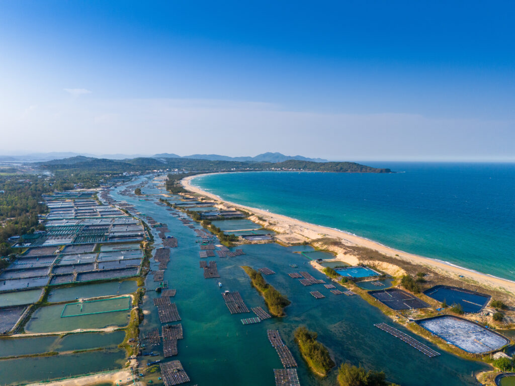 O Loan lagoon
