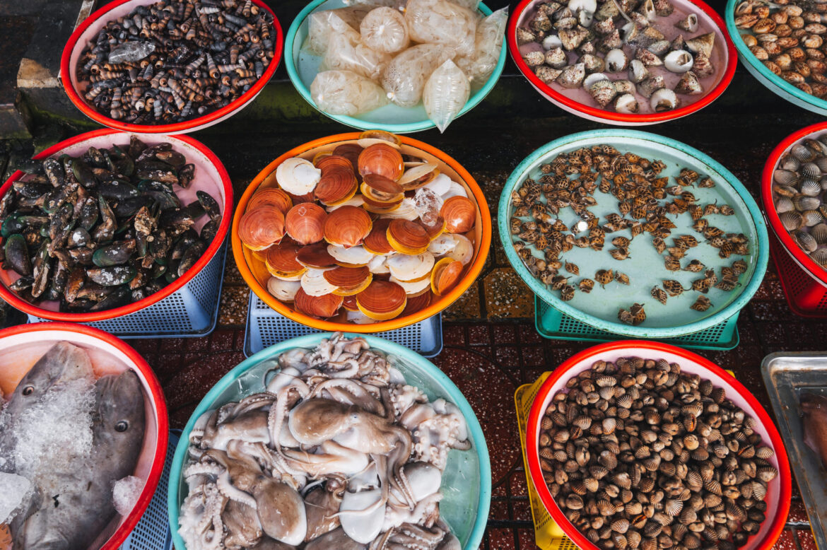 A variety of fresh edible oysters, clams, scallops, squid and fish at the local market